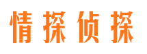 长丰背景调查